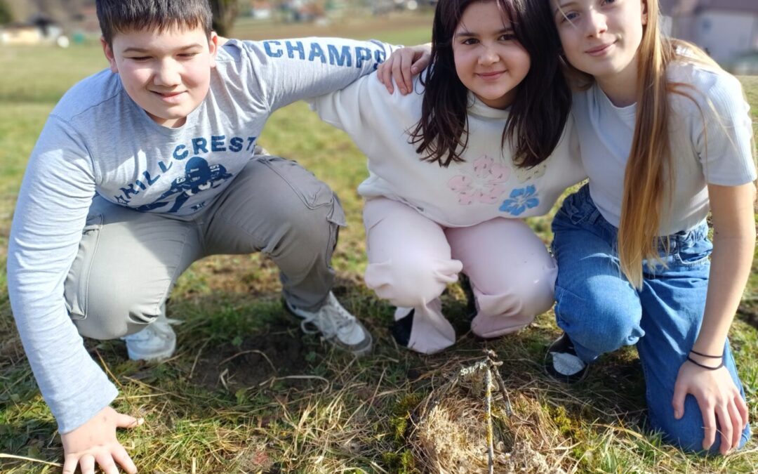 Aktivnost izrade ptičjeg gnijezda – učenje iz prirode