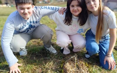 Aktivnost izrade ptičjeg gnijezda – učenje iz prirode