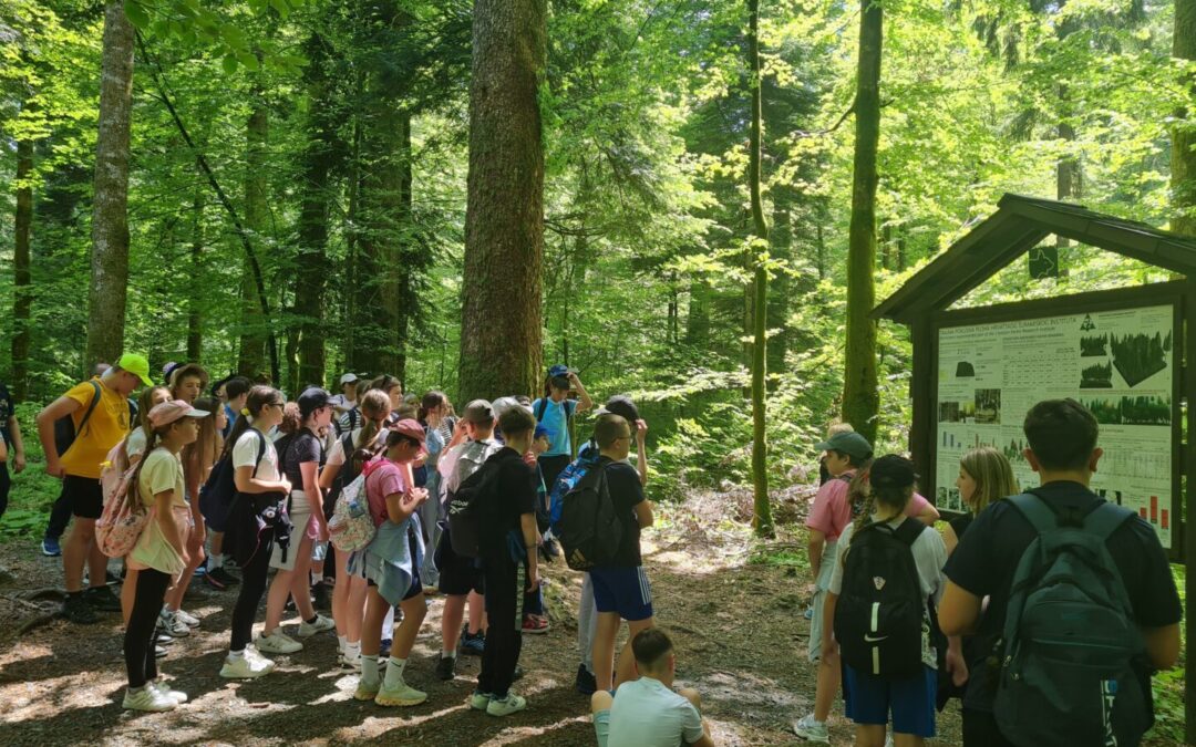 Izvanučionička nastava učenika 5. i 6. razreda u Gorskom kotaru